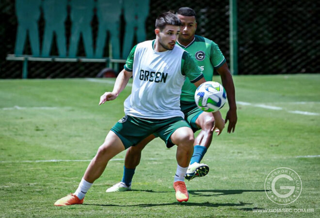 Verdão apresenta atacante para a sequência da temporada - Goiás Esporte  Clube